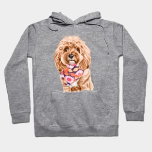 Cavoodle Hoodie